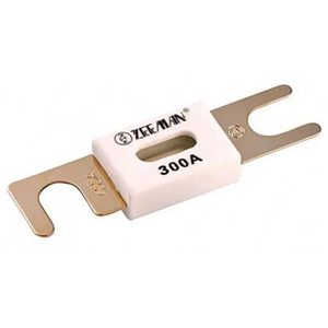 ANL-fuse 300A/80V