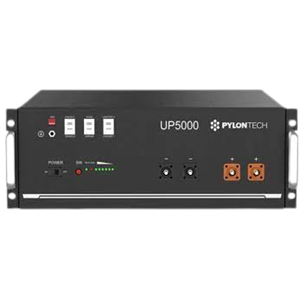 UP5000 LiFePO4 48V 100Ah 4.8 kWh