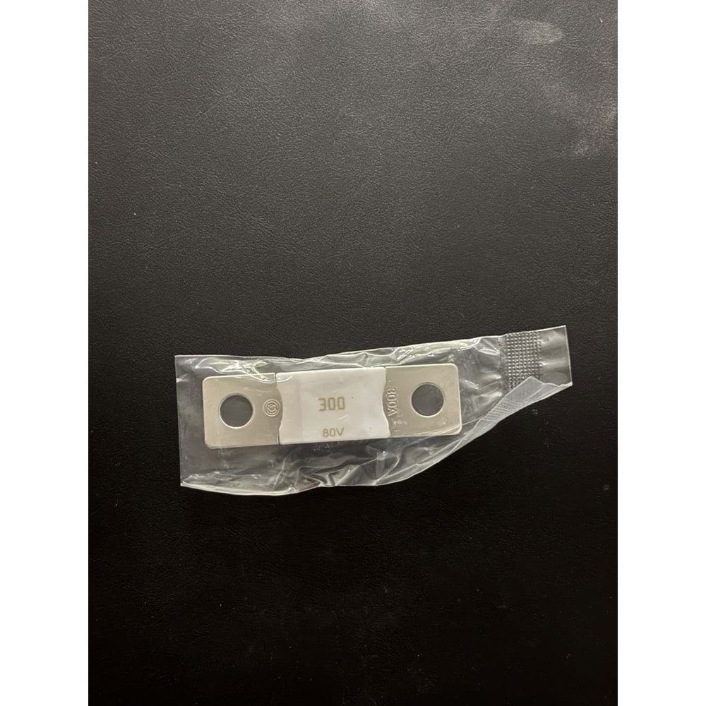 MEGA-fuse 300A/80V (package of 5 pcs)